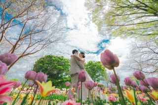 春の昭和記念公園