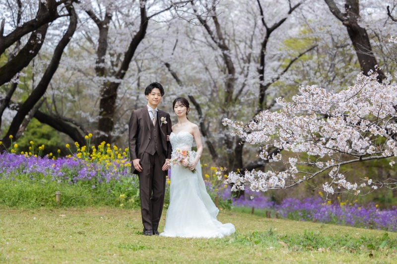 雨上がりだからこそ出会えた、艶やかな桜と色彩の世界