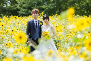 ひまわりロケーション