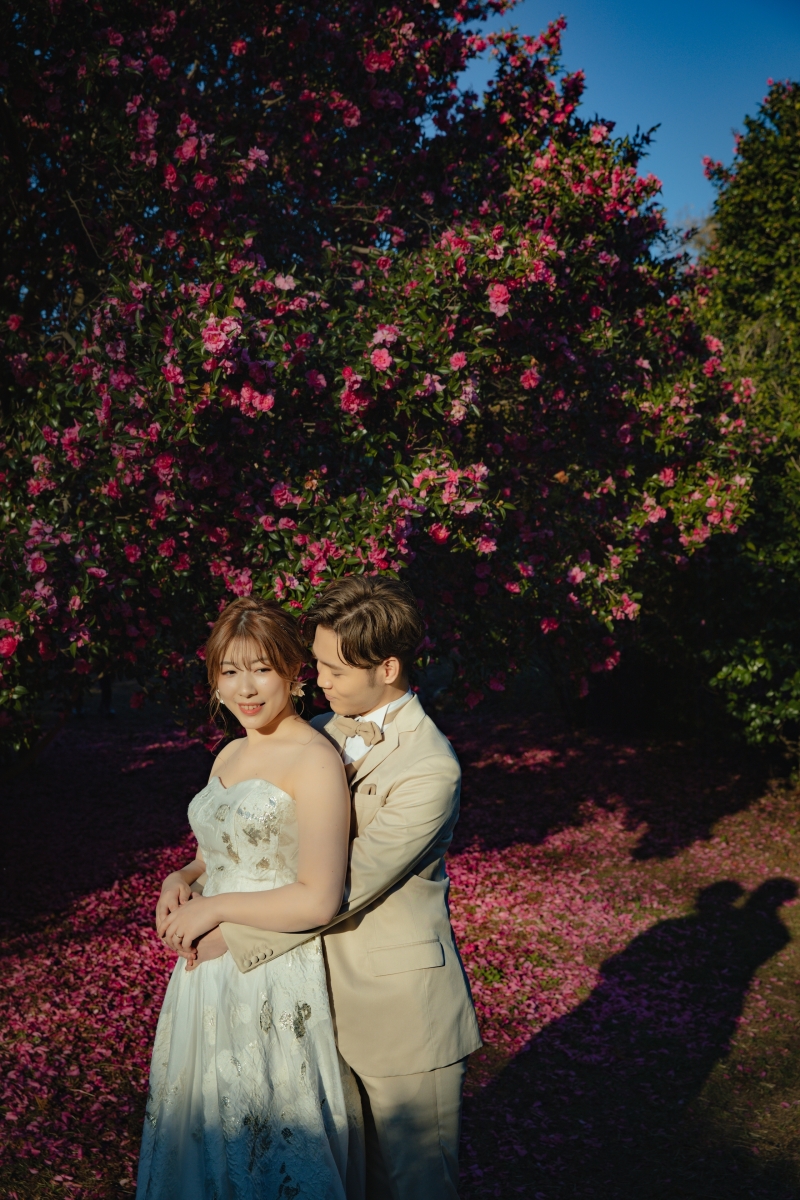 サザンカの季節*