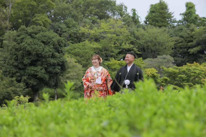 緑に囲まれて。