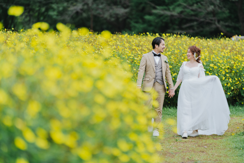 コスモスの中を散歩