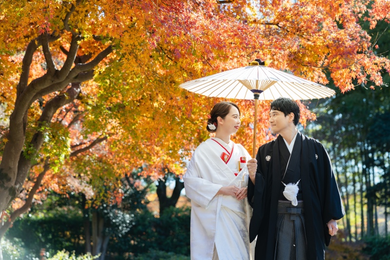 和装で紅葉撮影