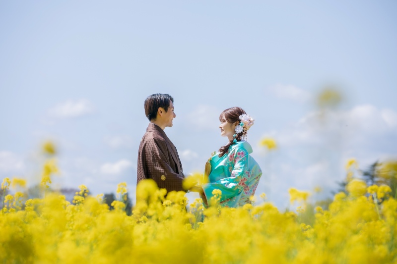 菜の花に包まれて