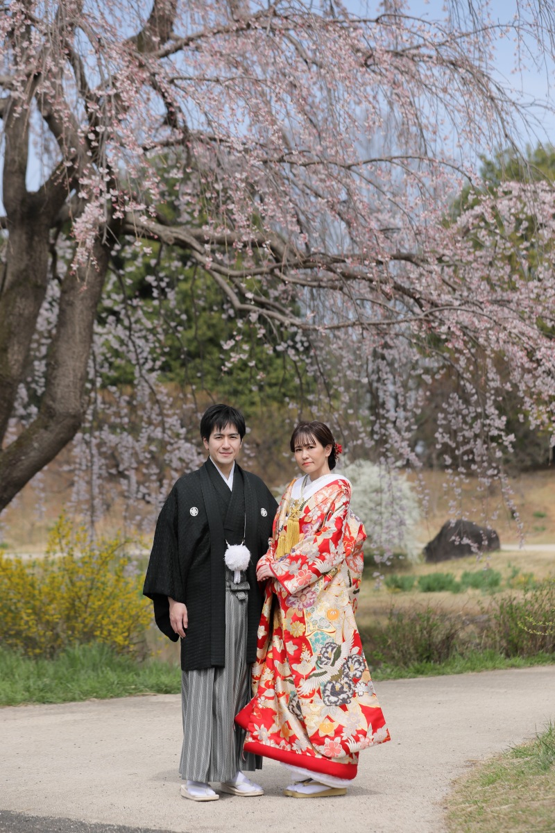 青空と枝垂れ桜