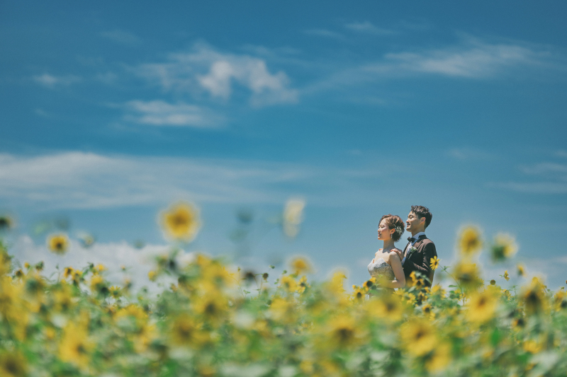 青空とひまわり
