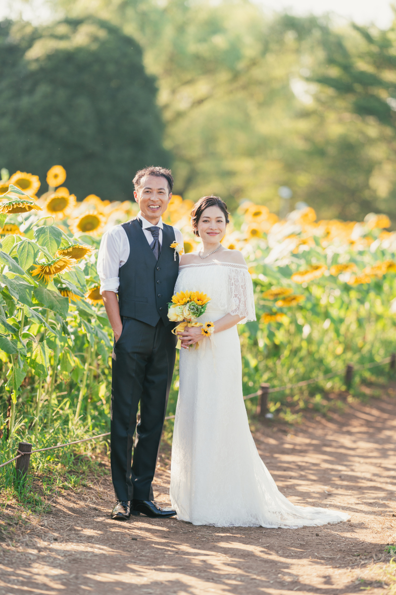 夕暮れのひまわり