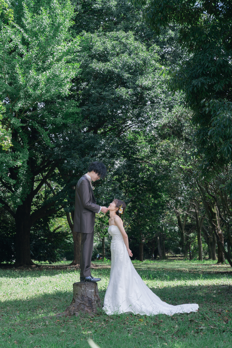 切り株を使って