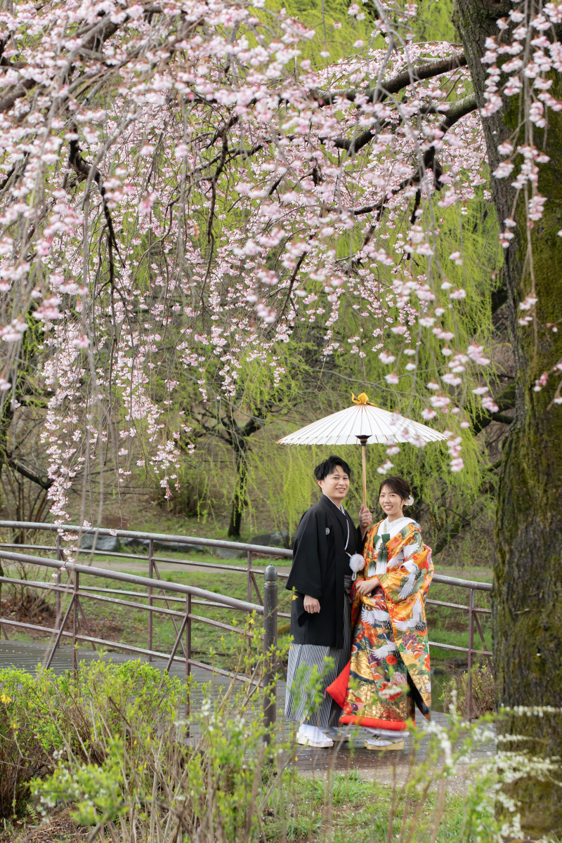 枝垂れ桜