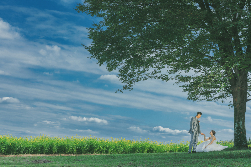 大きな木の下で