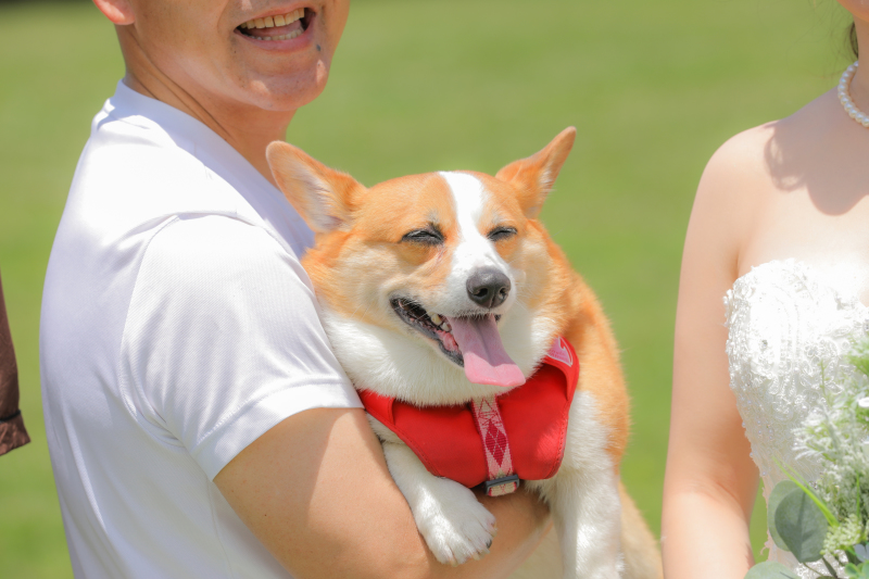 笑顔のワンちゃん