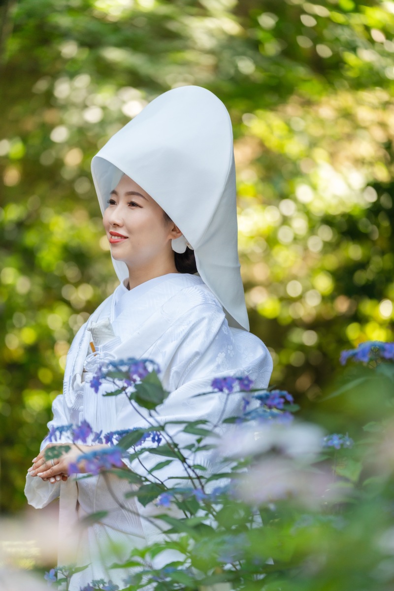 紫陽花×綿帽子