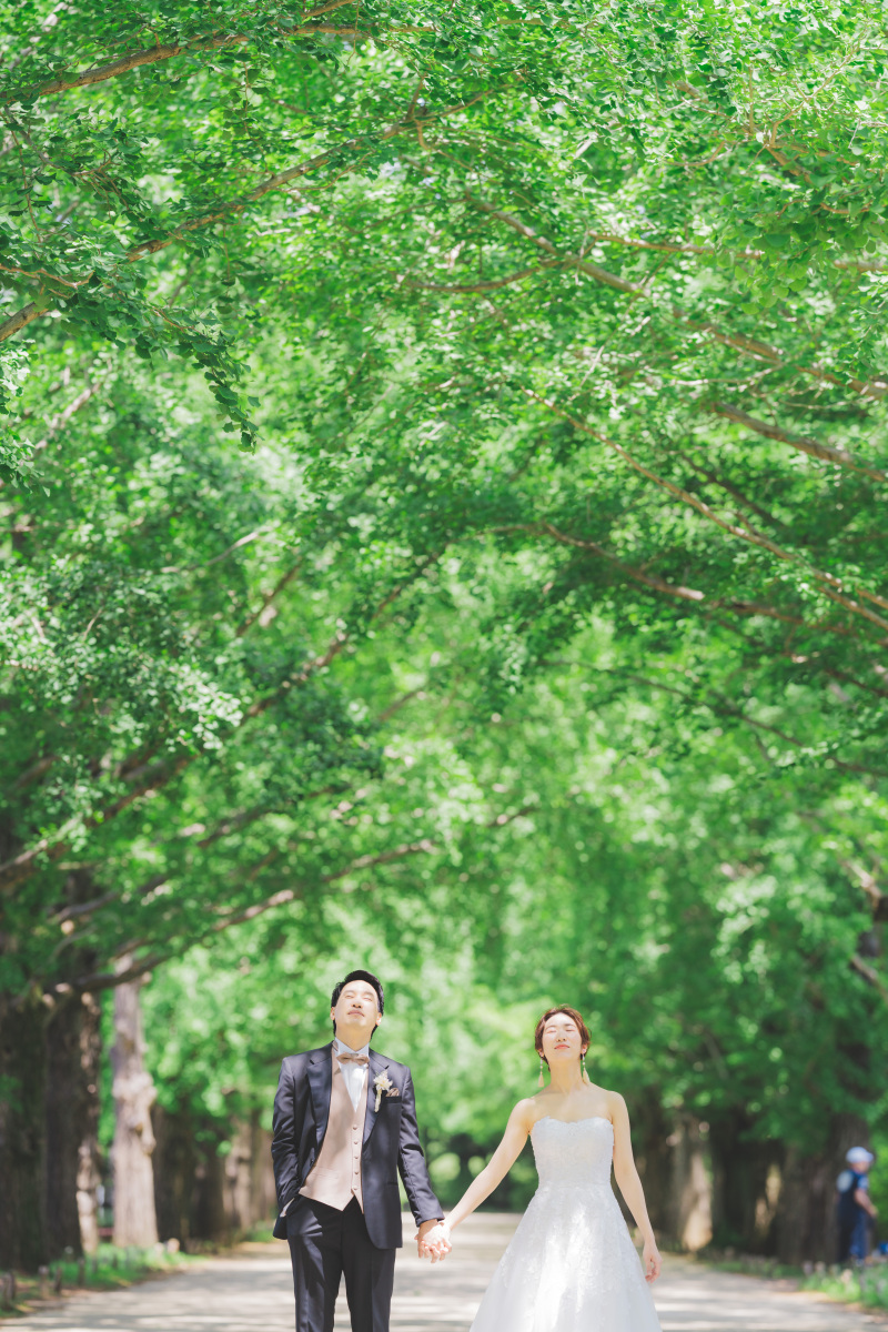 新緑の昭和記念公園2