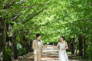 爽やかな新緑と