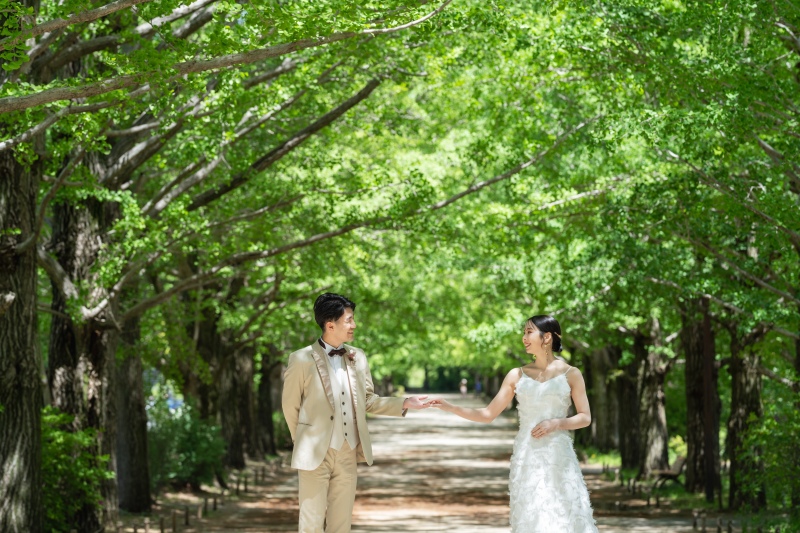 爽やかな新緑と