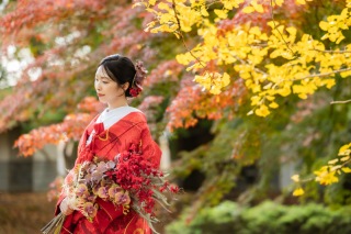 紅葉シーズン到来