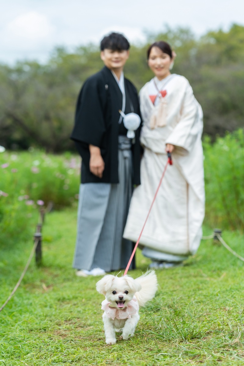 しっぽいふりふり♪