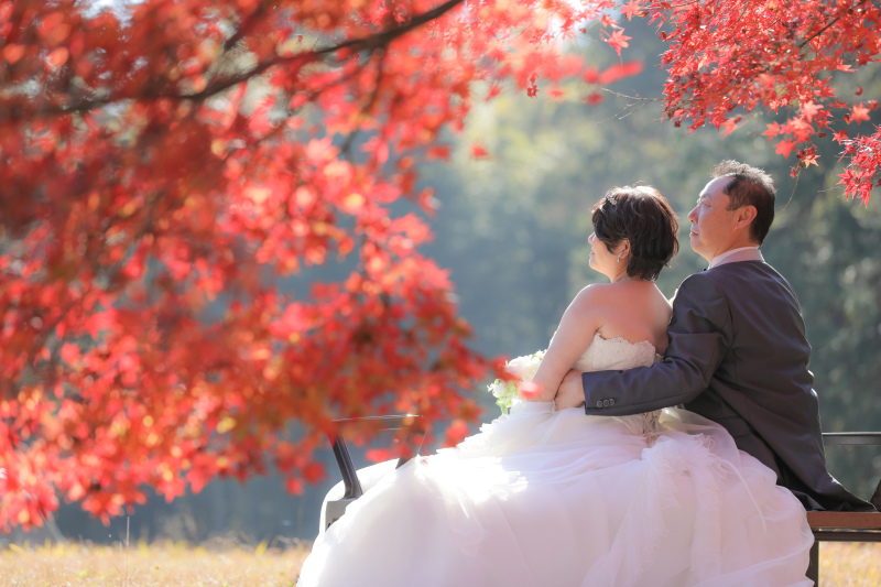 紅葉の昭和記念公園