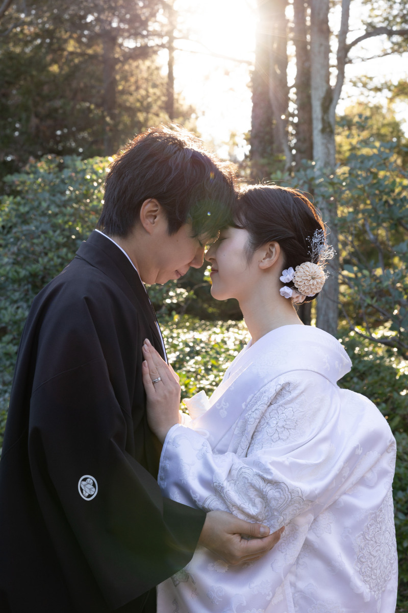 光に照らされて