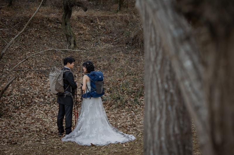 これからのルート