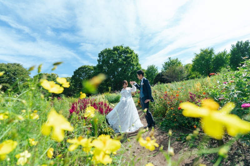 秋の昭和記念公園