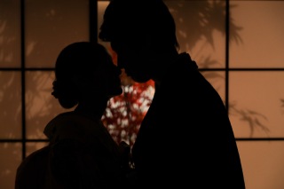 屋内庭園スタジオ+コンフェッティ