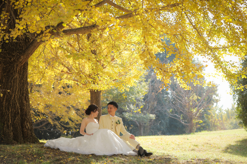 撮りたいイメージも