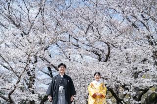 さくらシーズン到来