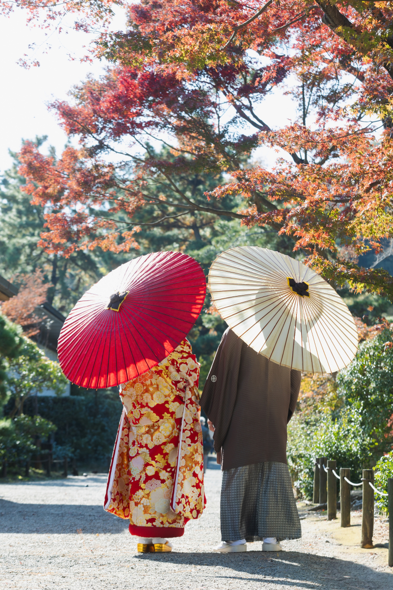 和傘×紅葉