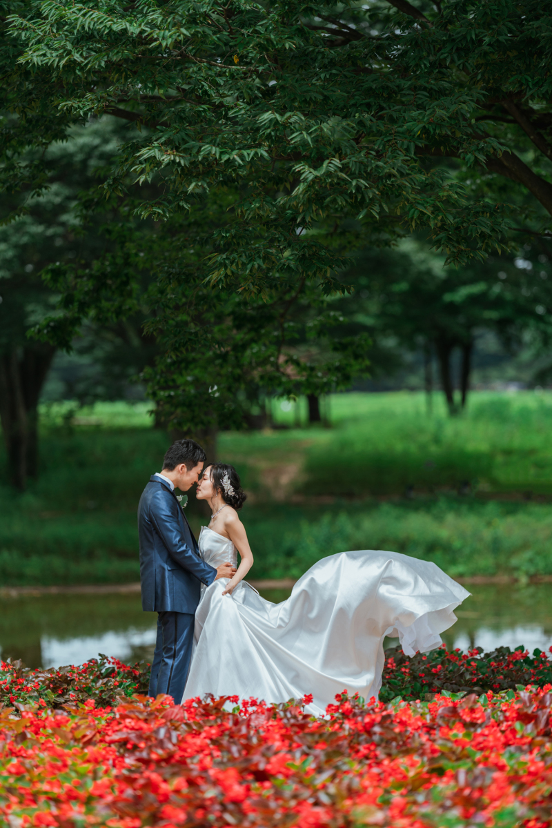 ひまわり以外も綺麗です