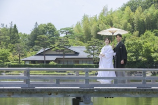 緑が美しい季節になりました！