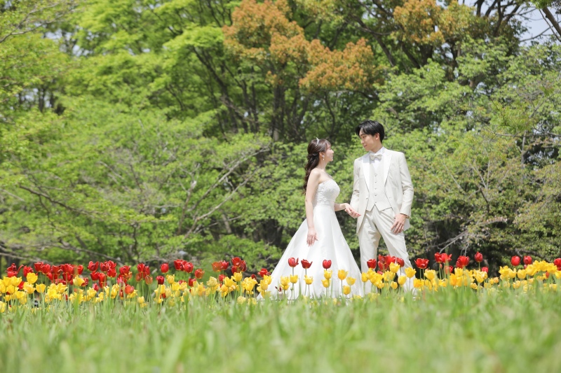 チューリップ畑へ行こう!