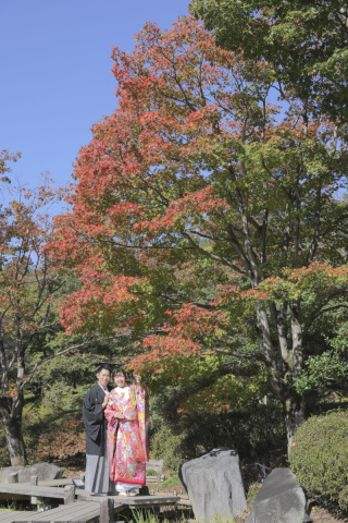11月の秋の昭和記念公園を先取り撮影に行ってきました！