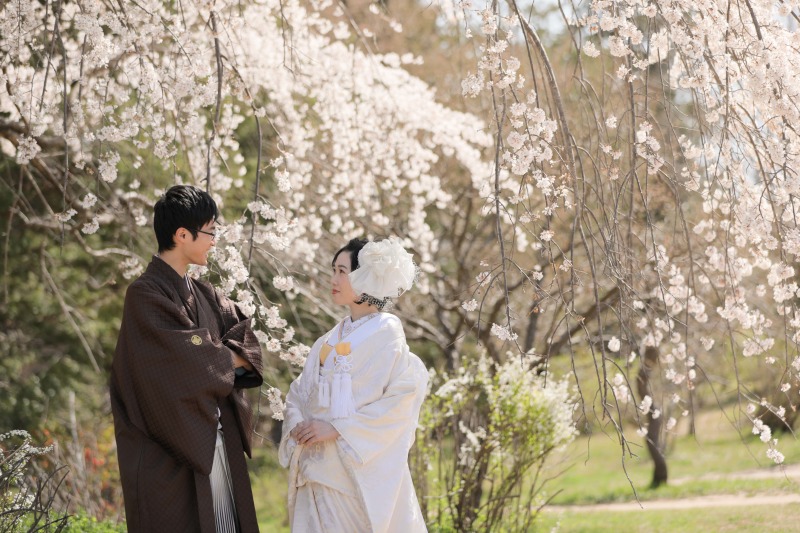 しだれ桜とともに。