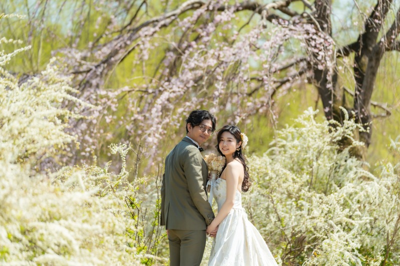 枝垂れ桜と白柳