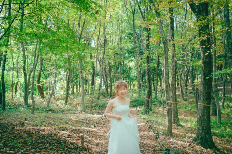 ピントのない世界