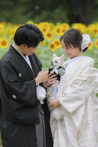 大切な家族とひまわり撮影！