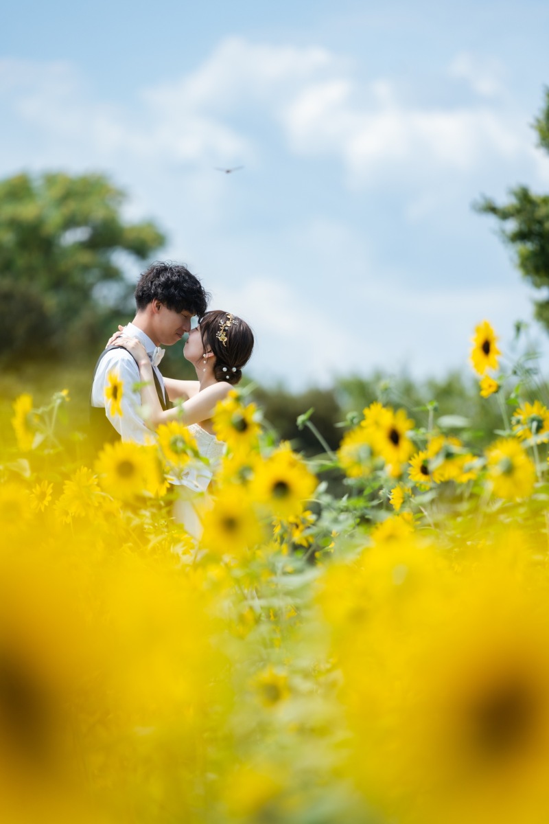 ひまわりに囲まれて