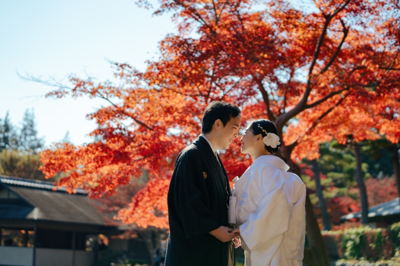 真っ赤な紅葉を背景に