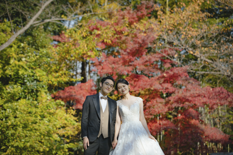 色とりどりの背景