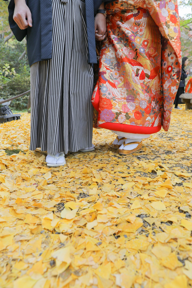 イメージショット。