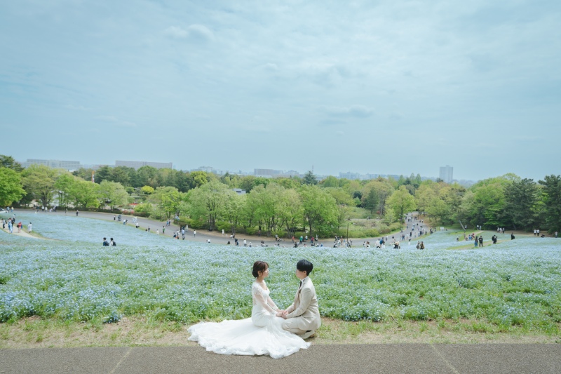 上から見渡して