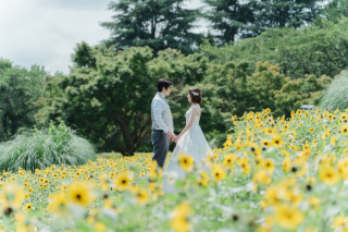 暇さえあれば向日葵へ！