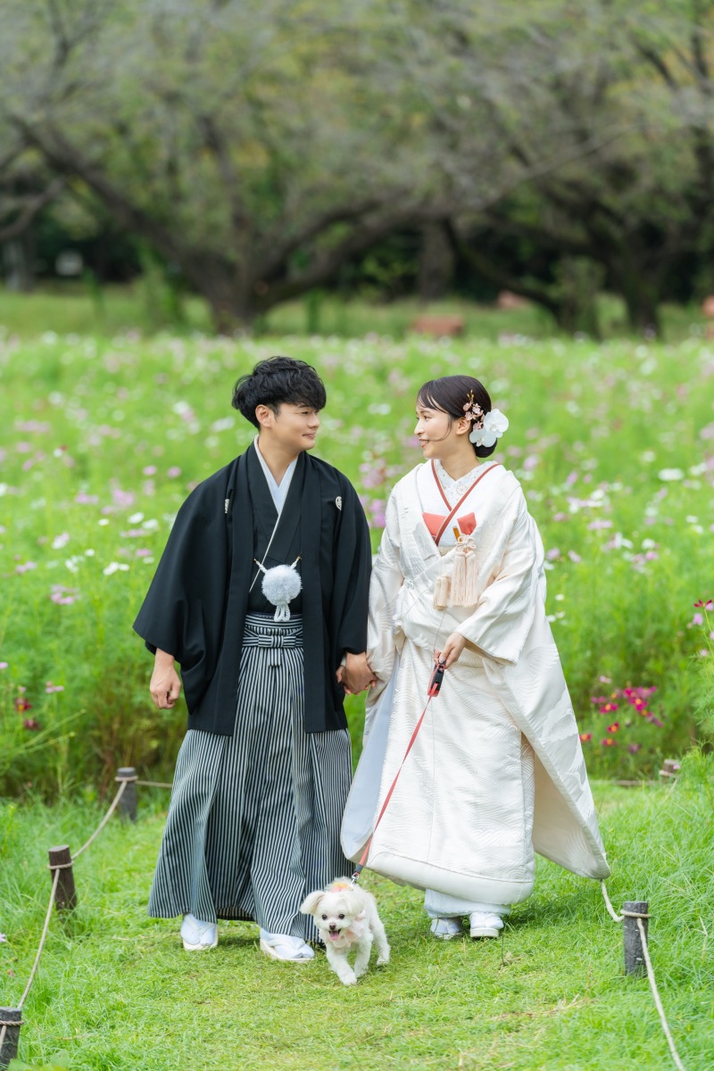 ワンちゃんとお散歩シーン