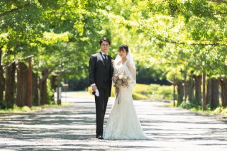 緑が綺麗な季節です