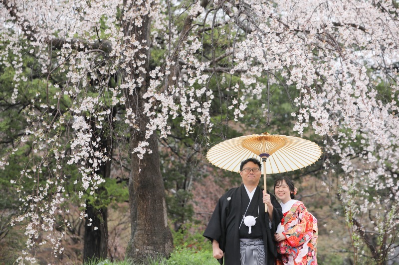 桜の木下で相合傘