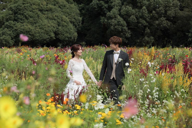 お花畑の中をお散歩