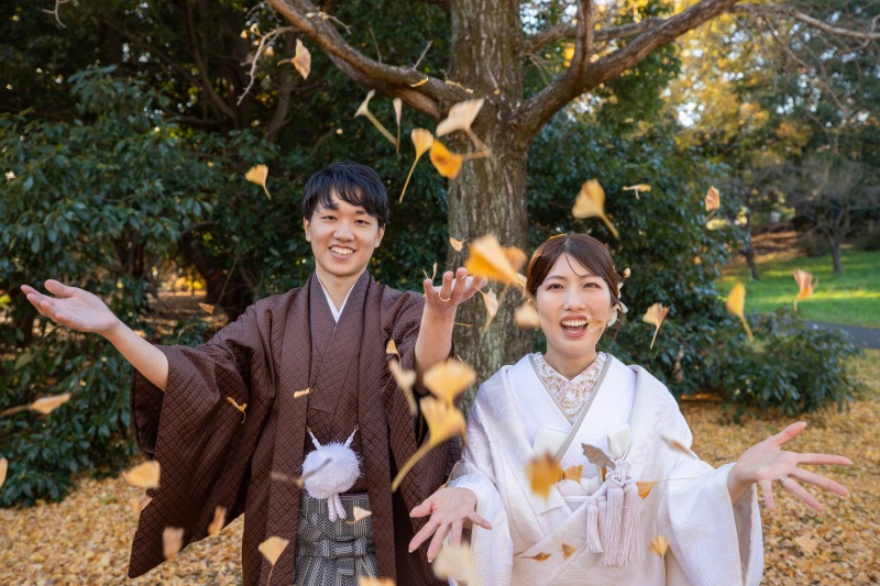 イチョウのコンフェッティ