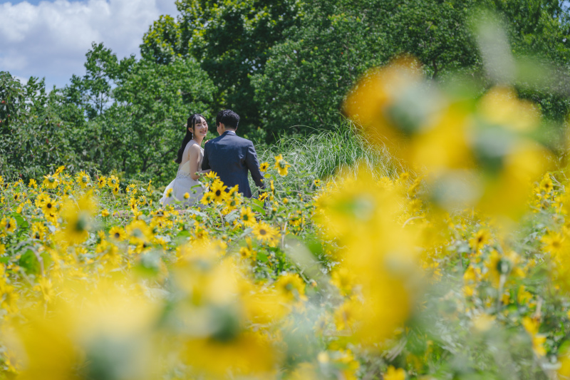 ひまわりロケーション！