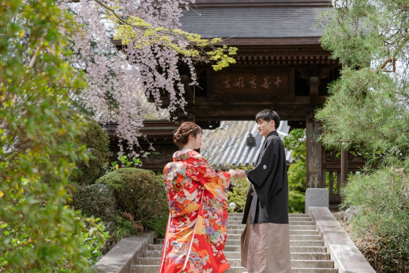 桜と緑のコントラスト